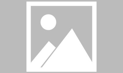  里昂球迷冲突导致比赛延期  